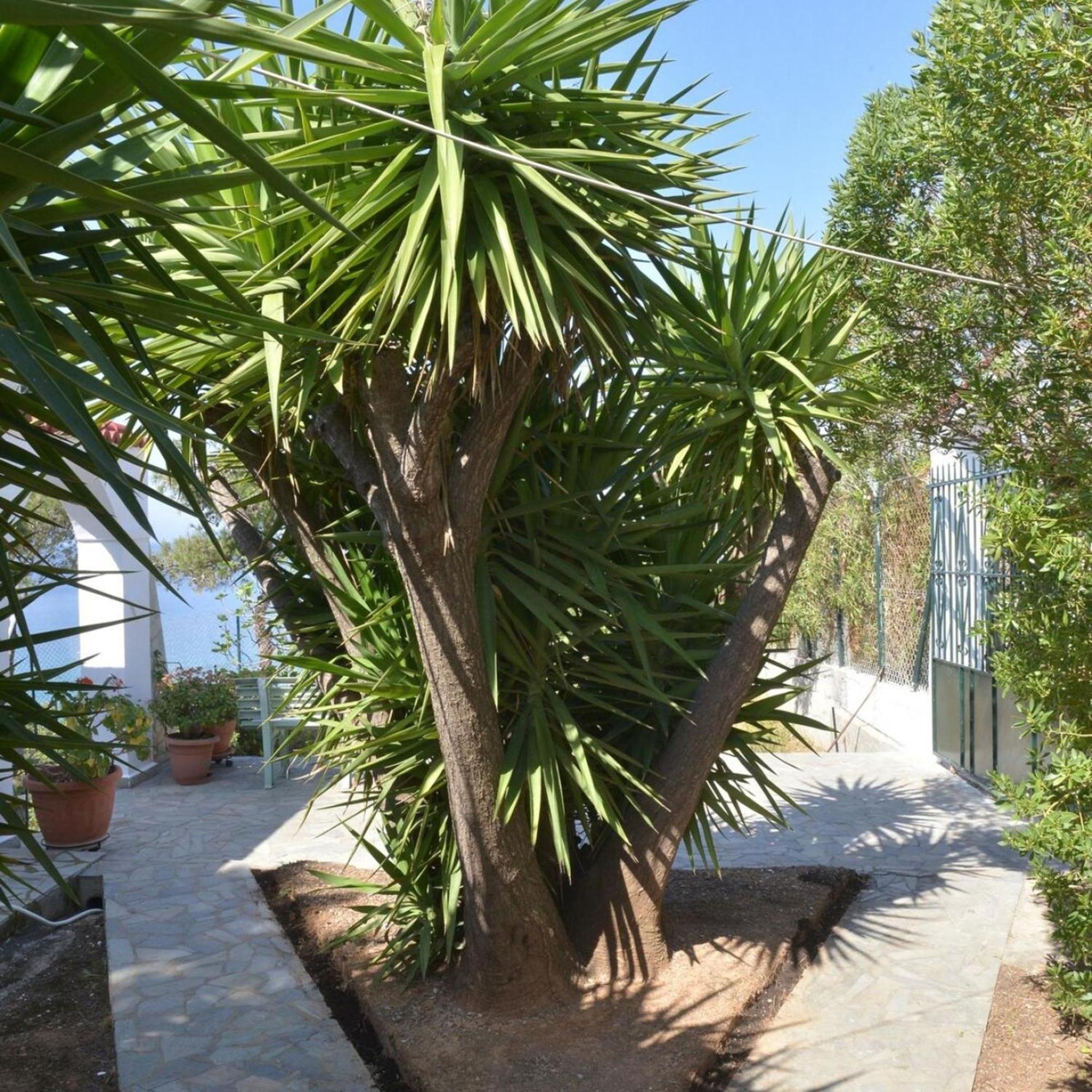 Salamis Beachfront House Luaran gambar